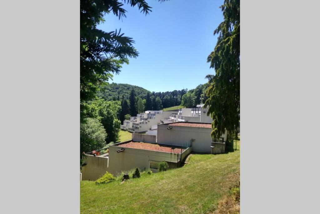 Studio Au Coeur Des Volcans D Auvergne - Мурол Екстериор снимка
