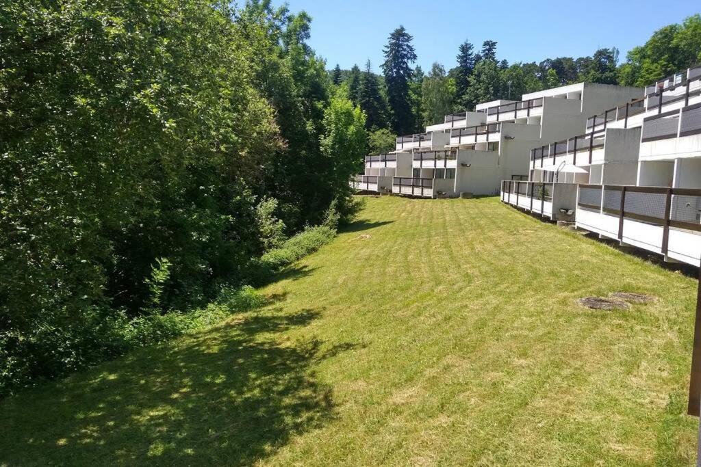 Studio Au Coeur Des Volcans D Auvergne - Мурол Екстериор снимка
