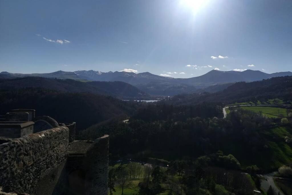 Studio Au Coeur Des Volcans D Auvergne - Мурол Екстериор снимка