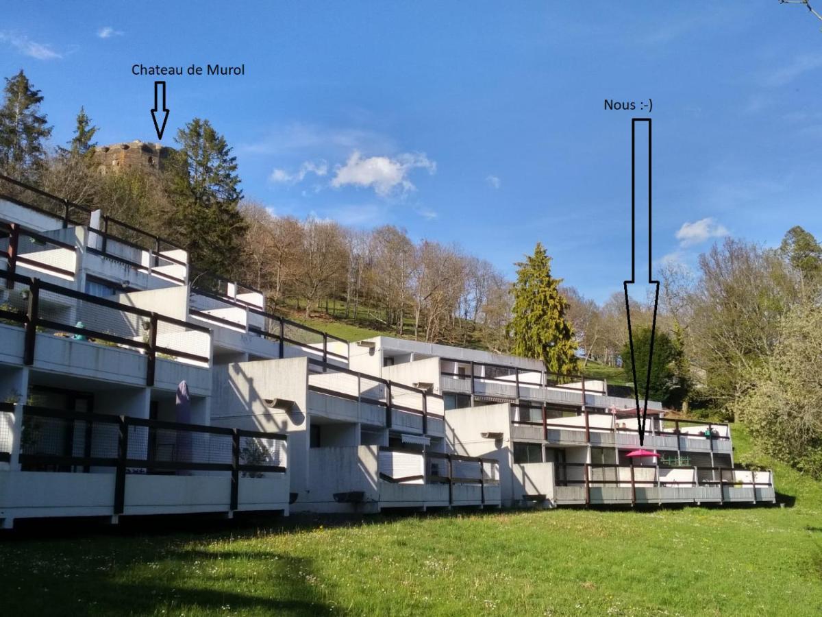 Studio Au Coeur Des Volcans D Auvergne - Мурол Екстериор снимка