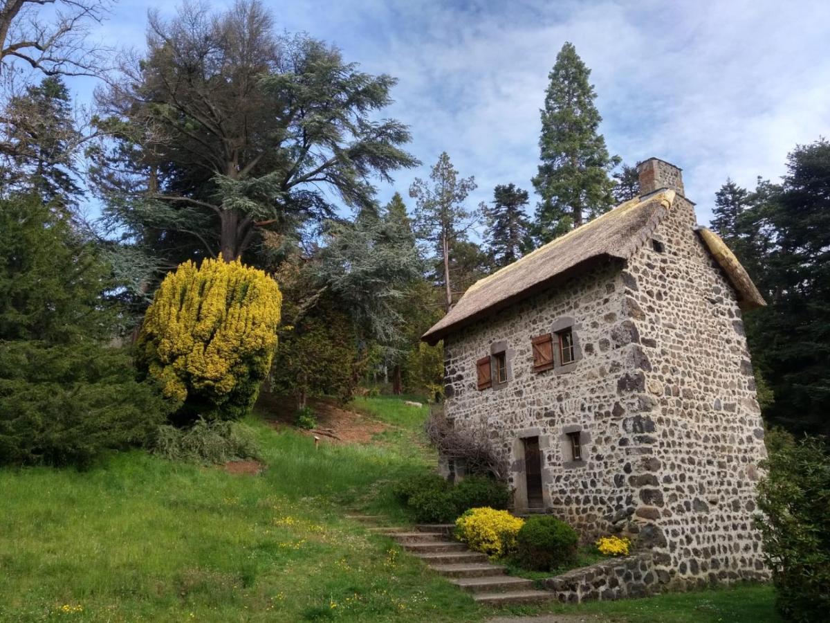 Studio Au Coeur Des Volcans D Auvergne - Мурол Екстериор снимка